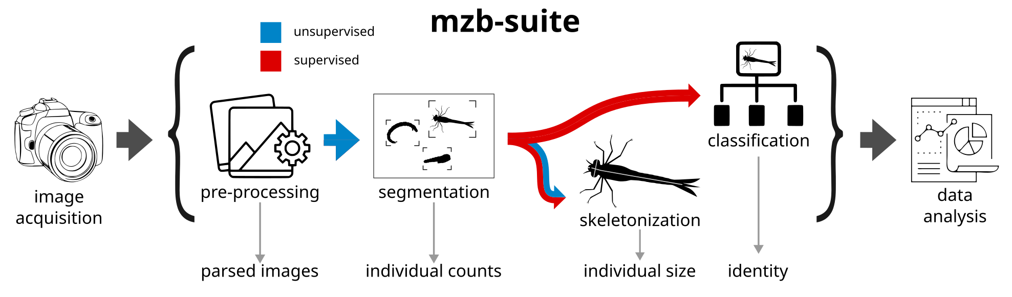 ../_images/MZB_pipeline_v3.1.png
