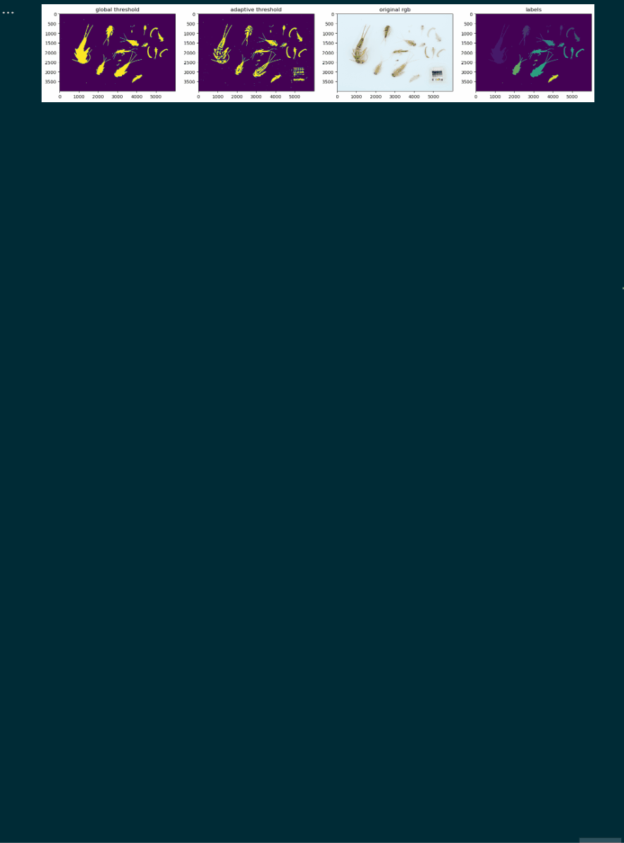 Segmentation